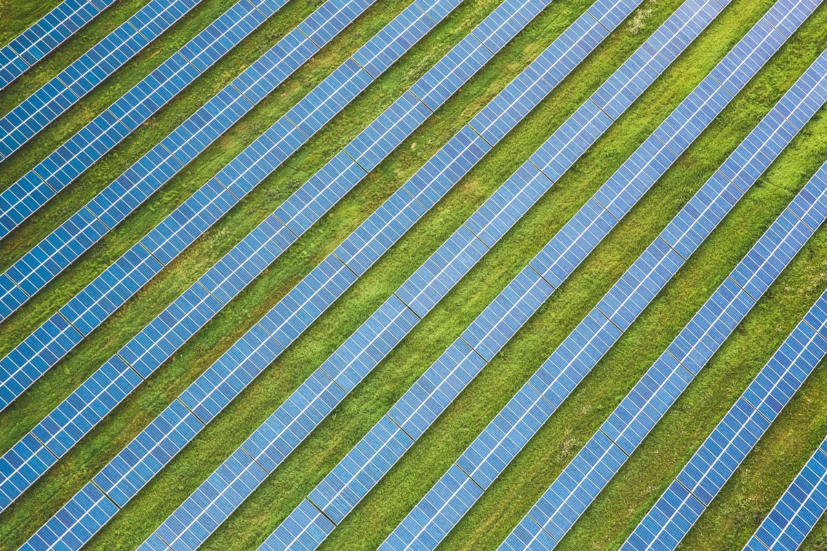 Rows of solar modules in a field, seen from above